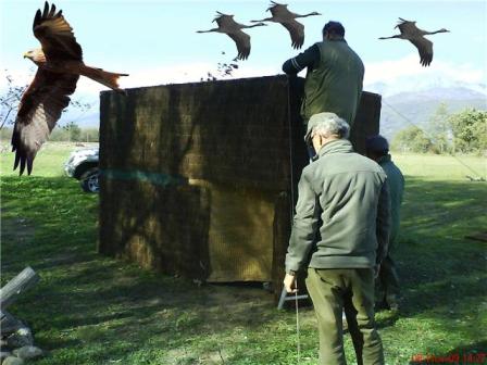 De la web fotosnaturaleza.es