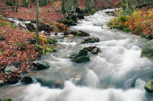 (Foto de Santi Muñoz)